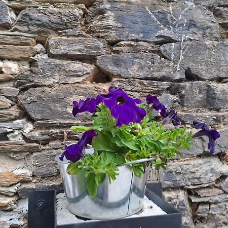 Apartamento Turistico Rural Casa Chain Lugo Zewnętrze zdjęcie